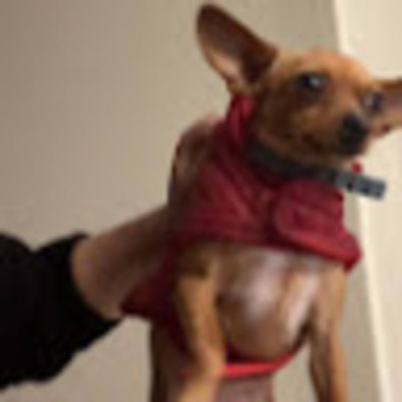 Meet your Posher, Lucero - Picture 1 of 1